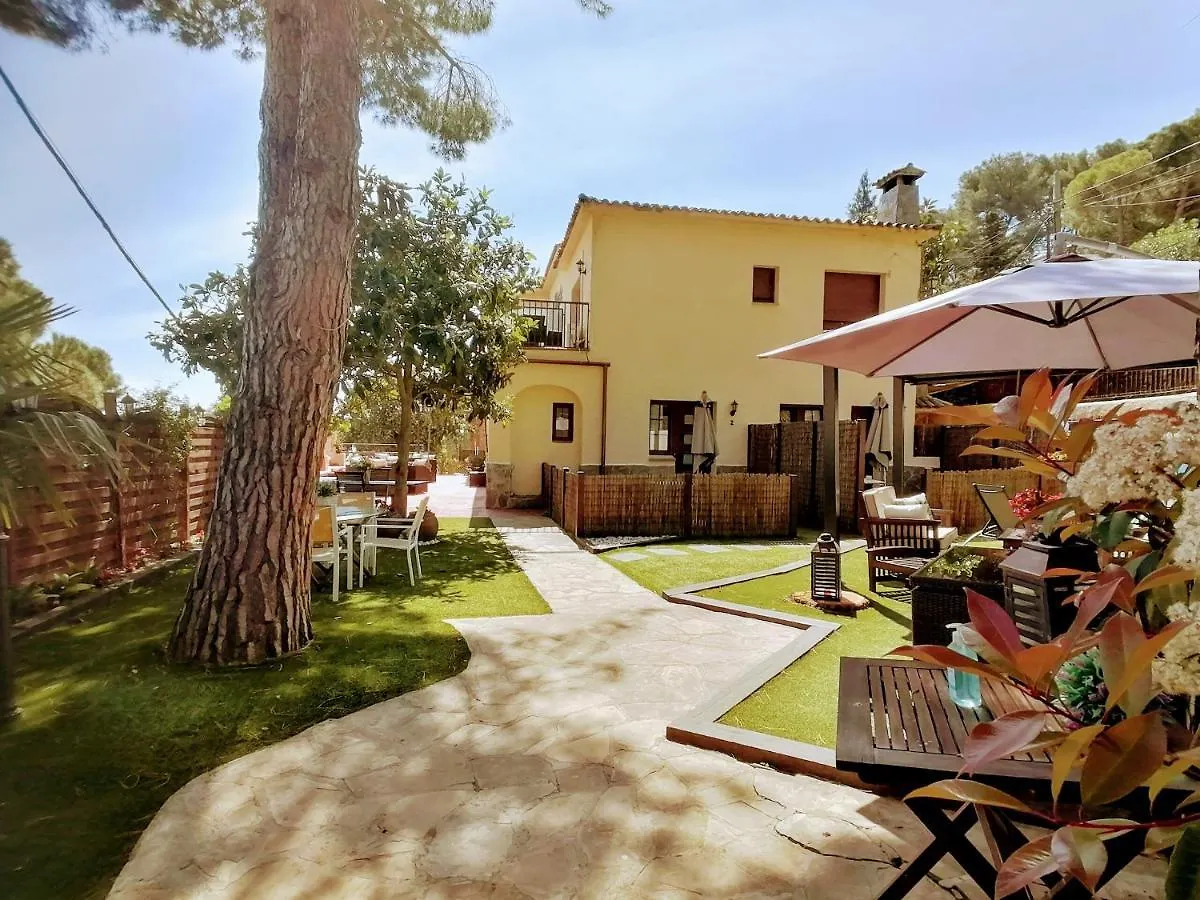 Cal Music B&B Premia De Dalt Bed & Breakfast