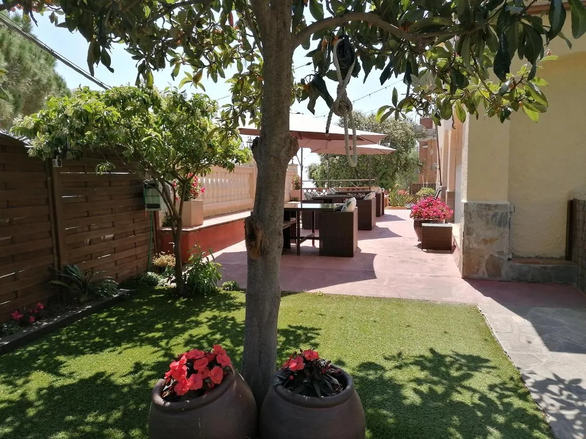 ** Bed & Breakfast Cal Music B&B Premia De Dalt Spain